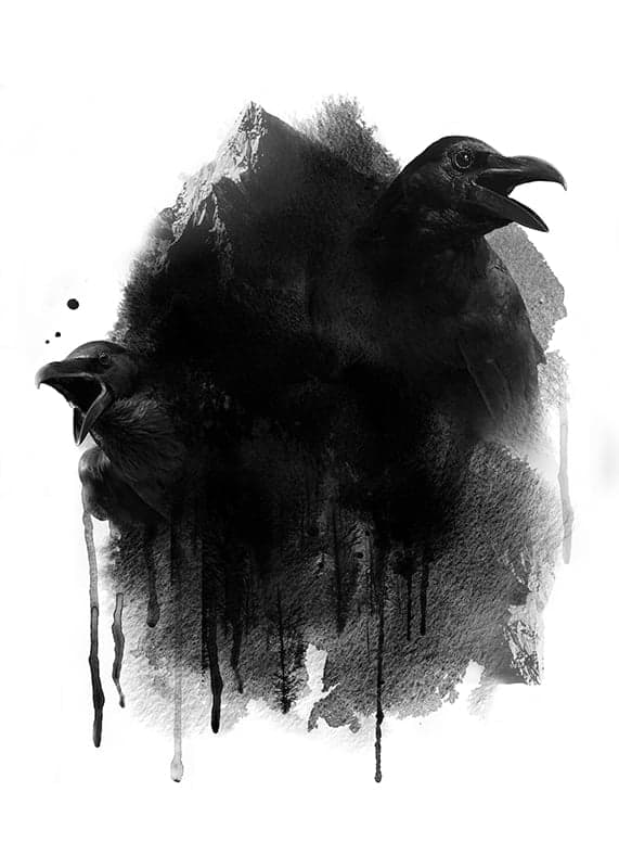 Хугин и Мунин